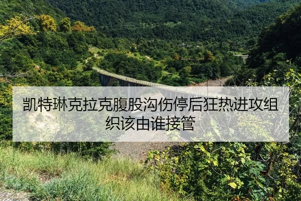 kai-te-lin-ke-la-ke-fu-gu-gou-shang-ting-hou-kuang-re-jin-gong-zu-zhi-gai-you-shui-jie-guan-2-756.jpg
