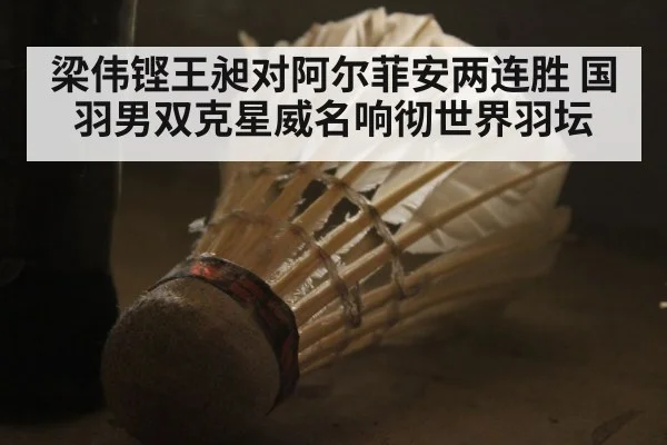 梁伟铿王昶对阿尔菲安两连胜 国羽男双克星威名响彻世界羽坛