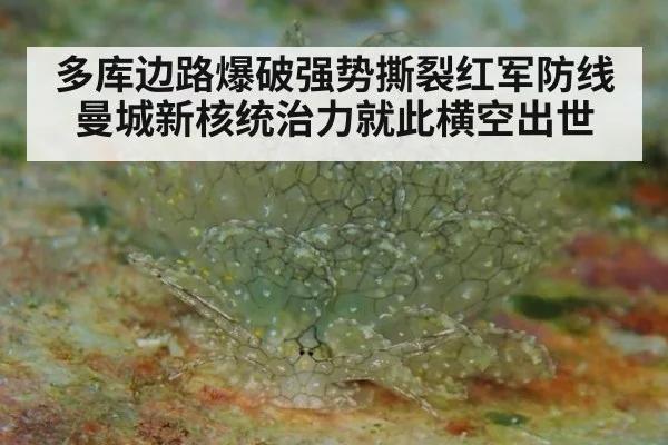 多库边路爆破强势撕裂红军防线曼城新核统治力就此横空出世